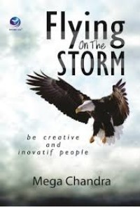 Image of Flying On The Storm